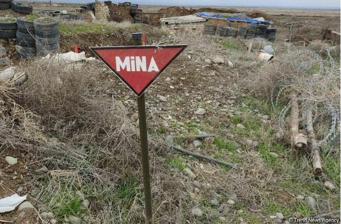 Azad olunmuş ərazilərdə ötən ay aşkarlanan minaların sayı açıqlandı