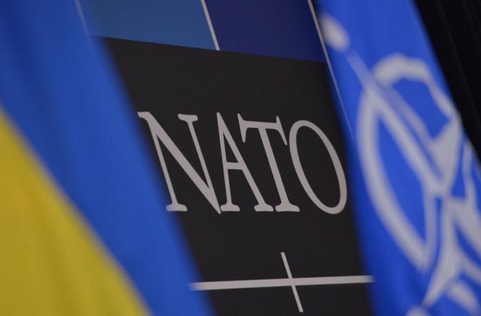 Ukraynanın NATO-ya daxil olması üçün prosedurlar dərhal başlamalıdır