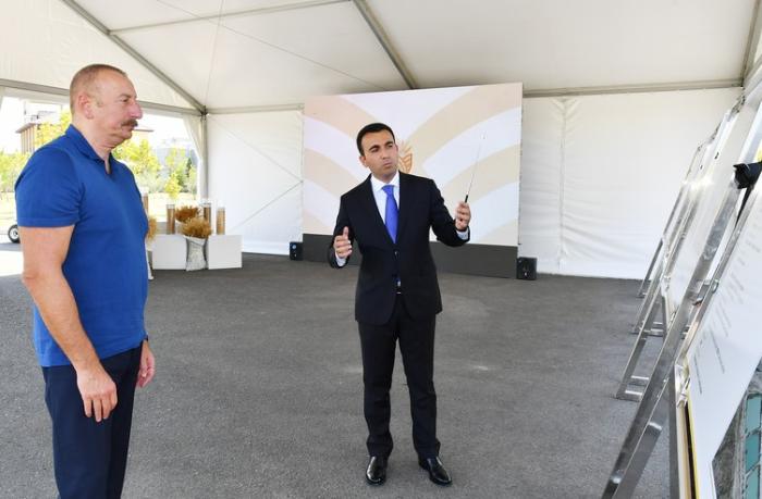 Prezident İlham Əliyev “Ağsu Aqropark”ın fəaliyyəti ilə tanış oldu — YENİLƏNİB/FOTO