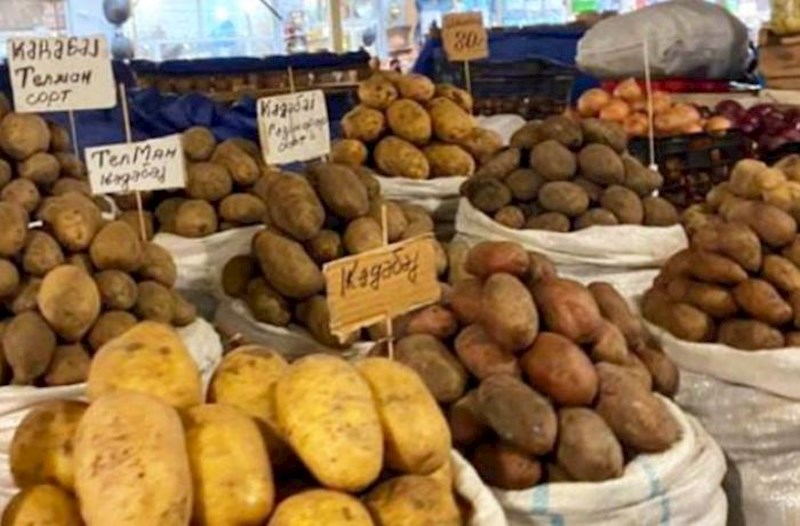 Kartof kəskin bahalaşdı — VİDEO