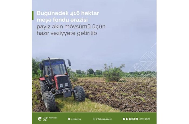 Bugünədək 416 hektar meşə fondu ərazisi payız əkin mövsümü üçün hazır vəziyyətə gətirilib
