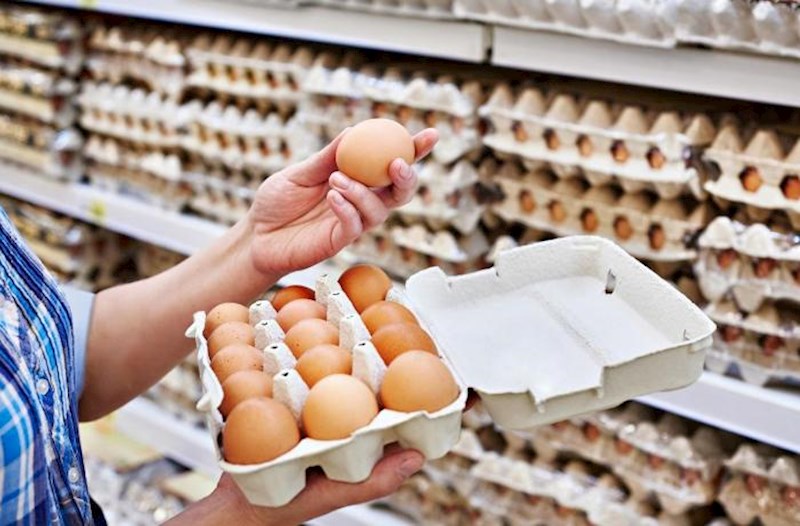 Rusiyaya satdığımız yumurtanın qiyməti 5% aşağı salınıb