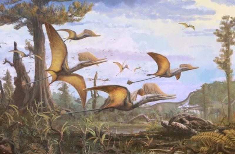 Şotlandiyada 170 milyon il əvvəl yaşamış uçan kələz tapılıb
